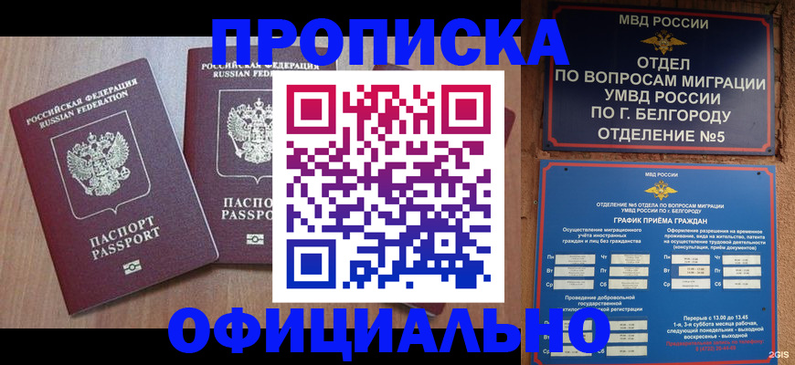 найти адрес прописки в Мирном
